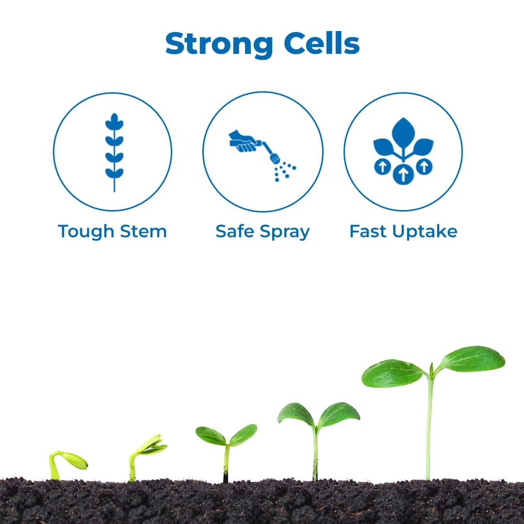Orthol-02 Ortho Silicic Acid 2%, Improves Fruit Development And Quality, Best For Paddy, Sugarcane, Cotton, Tomato, Grapes, Apple, Citrus Crops - Image 3