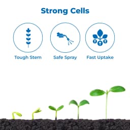 Orthol-02 Ortho Silicic Acid 2%, Improves Fruit Development And Quality, Best For Paddy, Sugarcane, Cotton, Tomato, Grapes, Apple, Citrus Crops 3