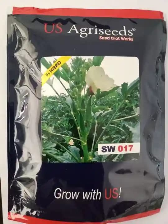 US Agriseeds SW 017 Okra Bhindi Seeds , High Yield And Good Fruit Weight