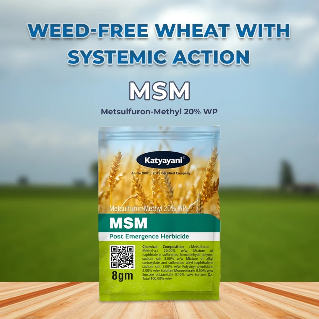 Katyayani MSM Herbicide