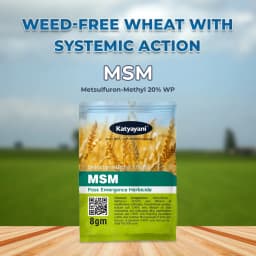 Katyayani MSM Metsulfuron-Methyl 20% WP Systemic Herbicide, Post Emergent Herbicide 2