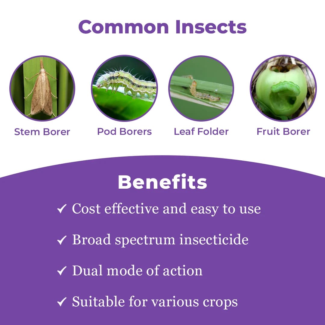Clorentis Insecticide - Chlorantraniliprole 18.5% SC - Image 3