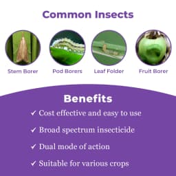 Clorentis Insecticide - Chlorantraniliprole 18.5% SC 3