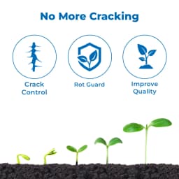 Geolife Natural Cab Anti Cracking and Anti Rotting , Combination Of Calcium And Boron In High Percentage , Advanced Nano Technology 3