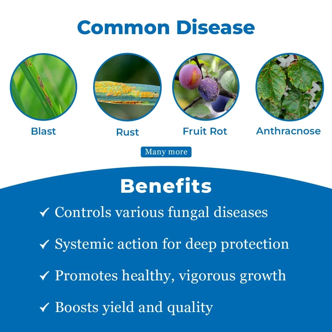 Agriventure Tebcon Tebuconazole 25.9 % EC Fungicide, Broad Spectrum Systemic Fungicide, Use For Rice, Chilli, Groundnut, Onion, Soybean - Image 3