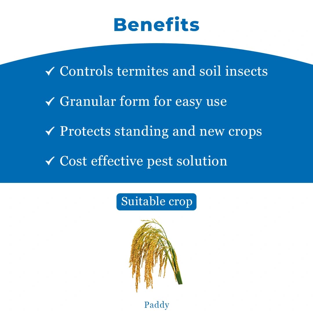 Katyayani Chloro GR Chlorpyriphos 10% GR Insecticide, For Effective Control of Soil-Borne Insects In Various Crops - Image 4