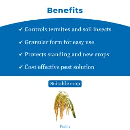 Katyayani Chloro GR Chlorpyriphos 10% GR Insecticide, For Effective Control of Soil-Borne Insects In Various Crops 4