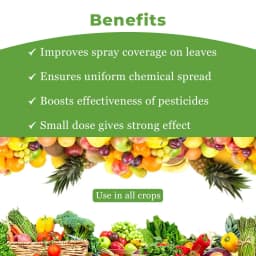 Katyayani Catalyser Silicon Super Spreader for Plants & Garden, Contain Natural Silica, Increase Crop Production, Reduces Loss Of Nutrients 4