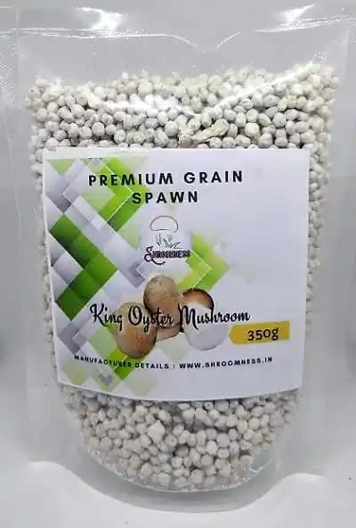 SporeKart King Oyster Mushroom Spawn, Cost Effective, High Quality Cultivation Of Mushroom Spawn - Image 3