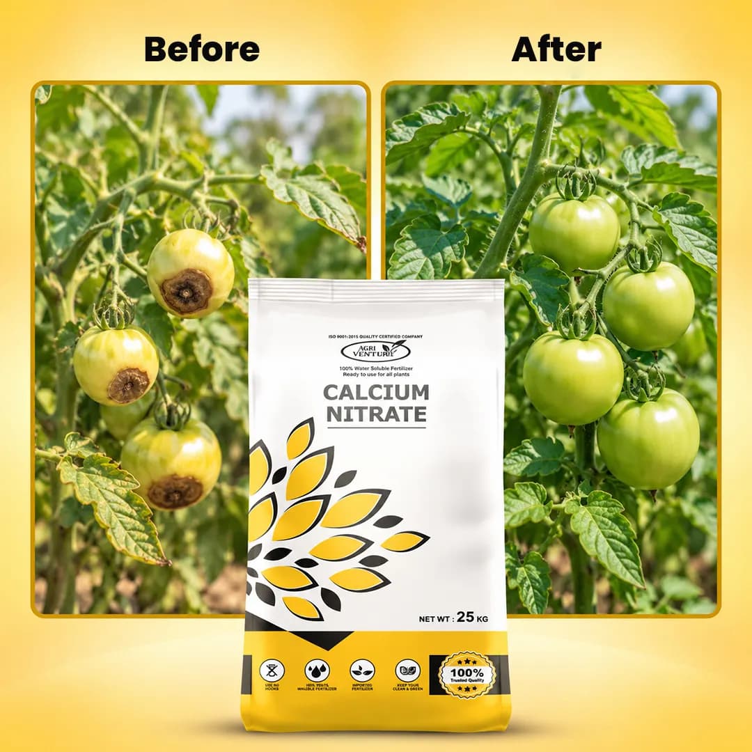 Agriventure Calcium Nitrate Fertilizer - 25KG - Image 5