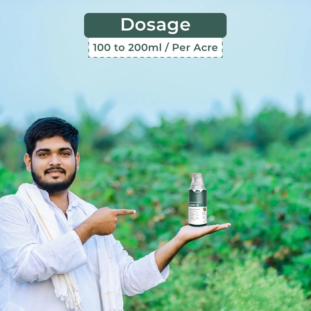 Katyayani Concor Fungicide - Difenoconazole 25% EC - Image 5