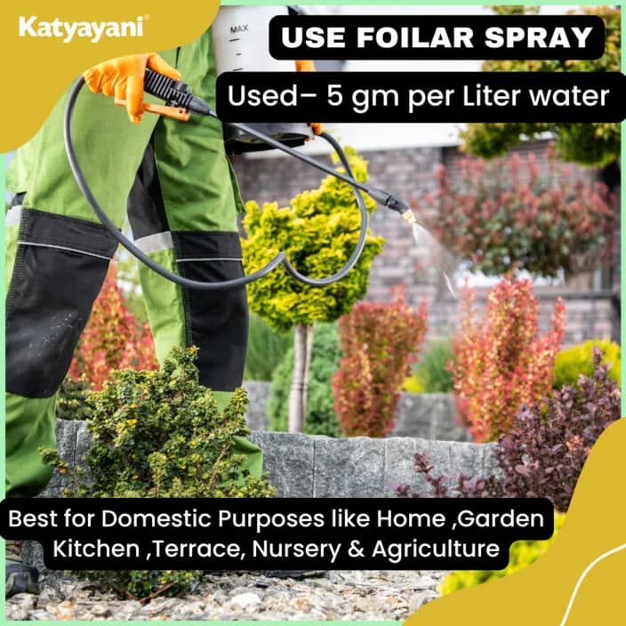 कात्यायनी ट्रिपल अटैक जैव कीटनाशक, वर्टिसिलियम लेकेनी, ब्योवेरिया बैसियाना और मेटारहिजियम एनीसोप्लिए का मिश्रण - Image 7