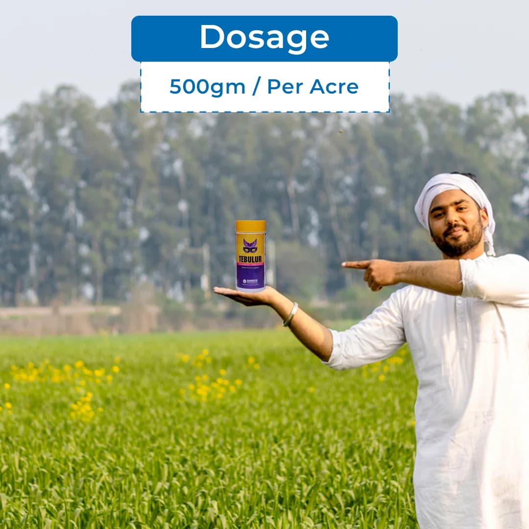 Darrick Tebulur Fungicide - Image 5