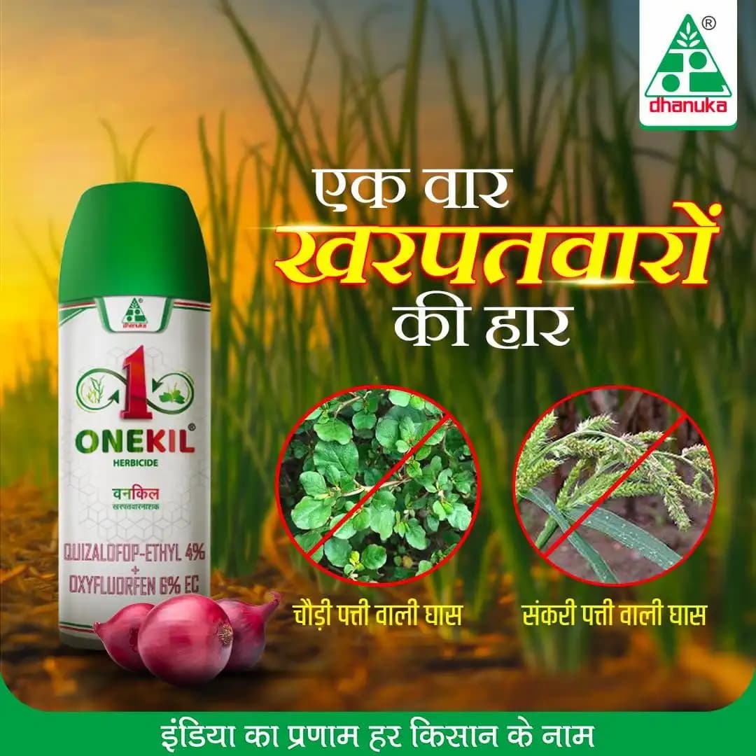 Dhanuka Onekill Quizalofop Ethyl 4% + Oxyfluorfen 6% EC Herbicide, Dual-Action For Weed Free Onion Crops - Image 2