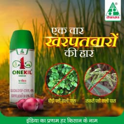 Dhanuka Onekill Quizalofop Ethyl 4% + Oxyfluorfen 6% EC Herbicide, Dual-Action For Weed Free Onion Crops 2