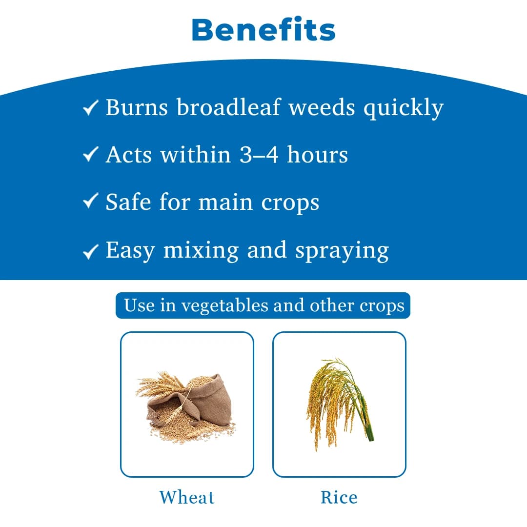 FMC Affinity Carfentrazone Ethyl 40% DF Herbicide, Broad Spectrum Control On Weeds - Image 4