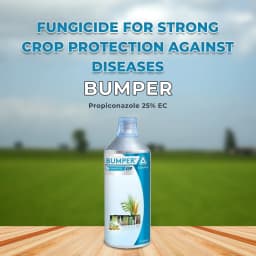 Adama Bumper Propiconazole 25% EC, A Broad Spectrum Systemic Foliar Fungicide. 2