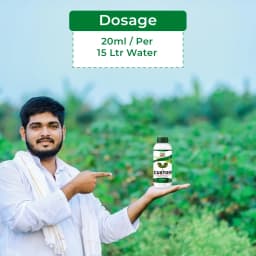 EBS Custom - Azoxystrobin 11% + Tebuconazole 18.3% Sc Fungicide, Control On Multiple Stages Of Fungal Infection 5