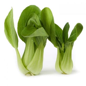 Urja All Green Pak Choi Seeds , White Stemmed Early Maturing Variety - Image 2