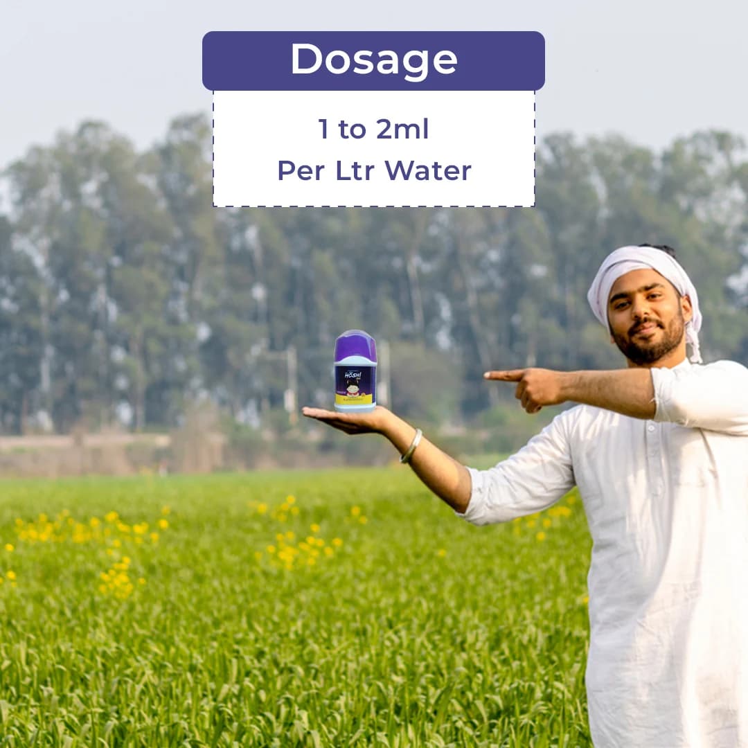 Sumitomo Hoshi Ultra Plant Growth Regulator - Image 5