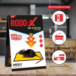 Hedo Mouse Glue Trap, Non Toxic & Non Drying, Ready to Use, Can Be Used In Home, Warehouse, Factory, Agriculture, etc. 4