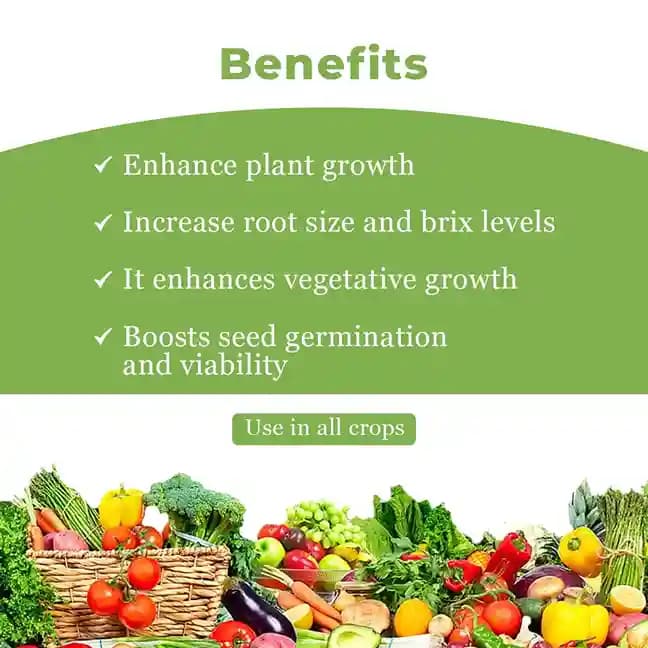 HUBEL - Humic Acid 98% Potassium Humate, Suitable for All Crops, Enhances Root Mass, Brix Level, and Plant Growth - Image 4