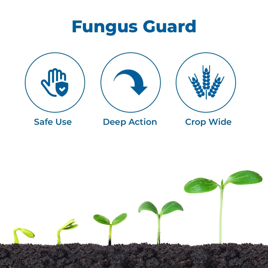 IIL Prism Thiophanate Methyl 70% WP Fungicide, Broad-Spectrum Systemic Fungicide with Protective and Curative Action - Image 3