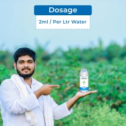 TATA Rallis CONTAF PLUS Hexaconazole 5% SC, Systemic Triazole Fungicide, Useful for Controlling Powdery Mildew 5