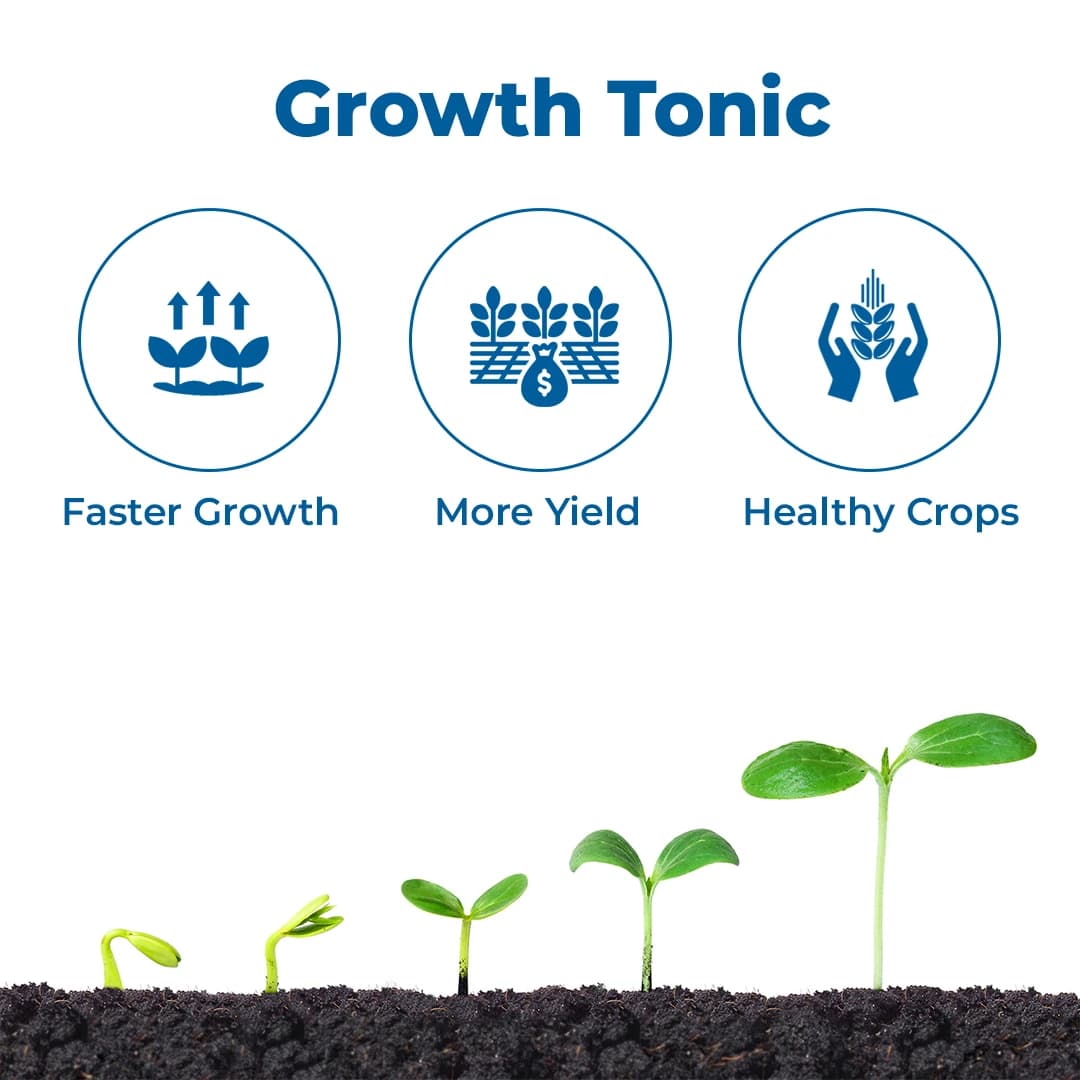 EBS Amino Acids 80% Powder Plant Growth Enhancer, Improved Yield, Growth Booster For Fruit and Vegetables - Image 4