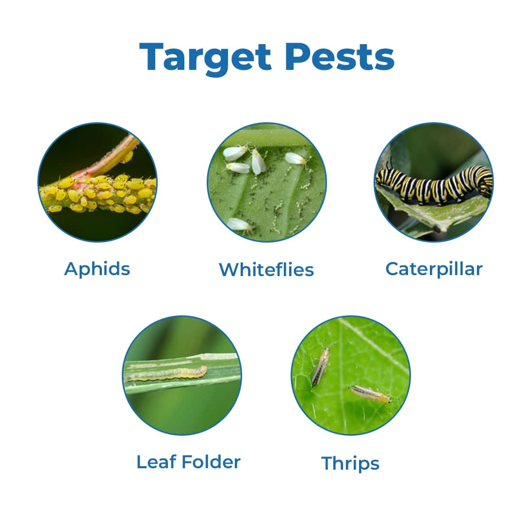 Coromandel Prachand Insecticide - Image 3