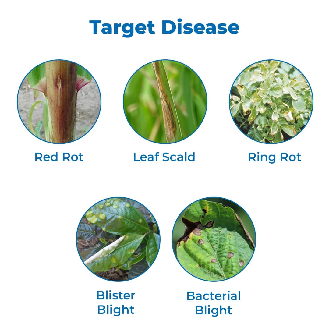 Aries Agro Plantomycin Fungicide - Image 3