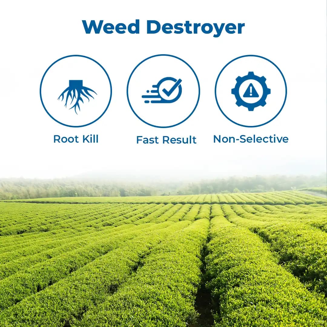 Ju Glypho-71 , Glyphosate 71% SG Non Selective Herbicide Used For Controlling Broad Range Of Weeds In Tea & Non Cropped Areas - Image 3