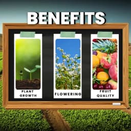 Katyayani Bhannaat Biostimulant Plant Growth Promoter, Increases Plant Resistance 4