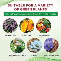 CropKraft Plant Growth Supplement (Liquid), Root Enhancer For Plants, Pot Plant Growth Enhancers (Pack of 3) 6