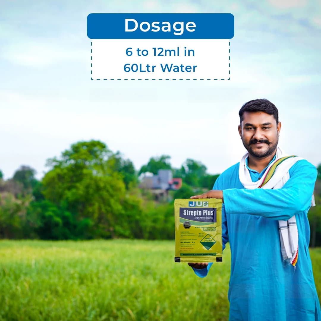 JU Strepto Plus Broad Spectrum bactericide for Plant Disease Control - Image 5