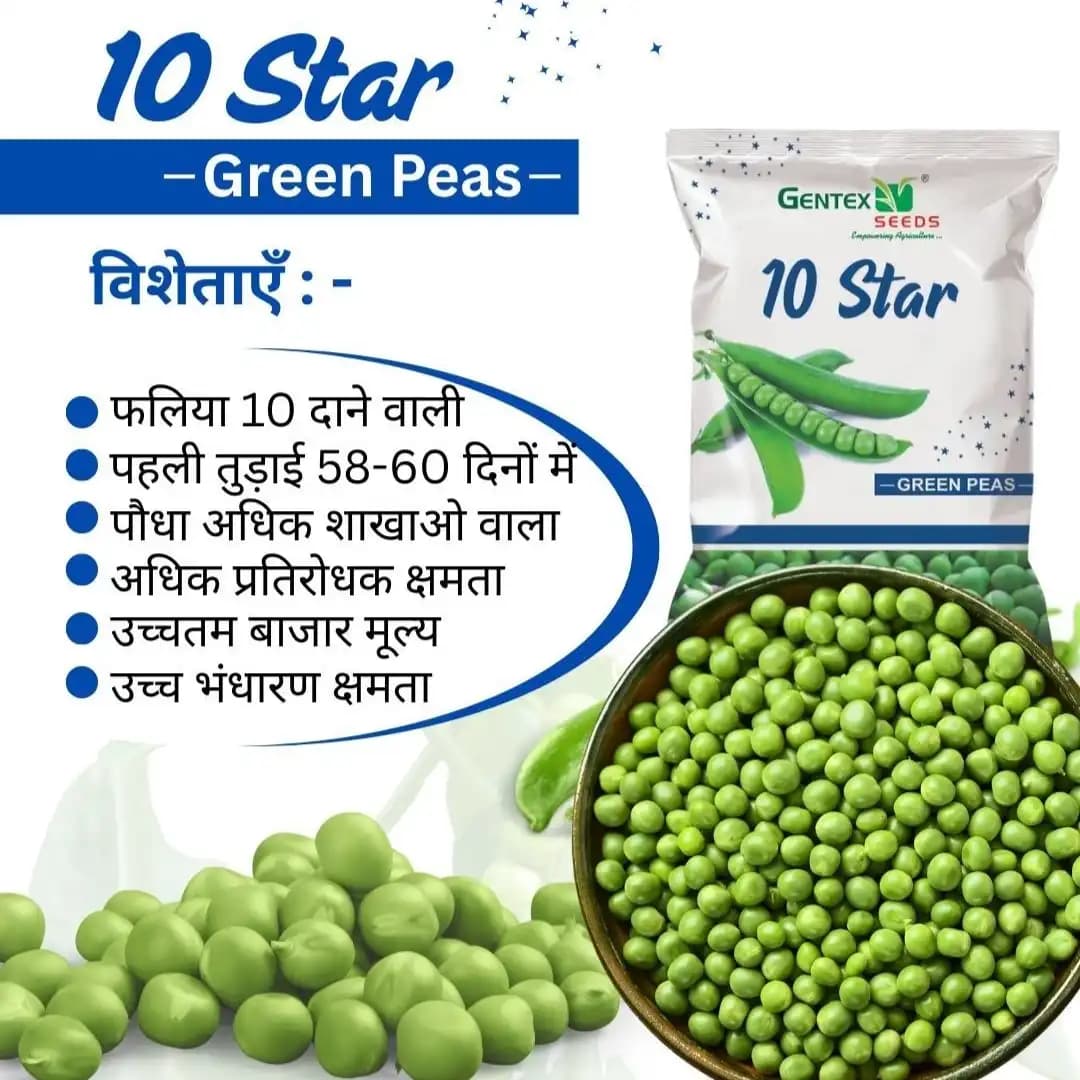 Gentex 10 Star Green Peas Seeds, Mattar Ke Beej, Lila Vatana Na Bee, High Yield Potential - Image 2