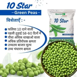 Gentex 10 Star Green Peas Seeds, Mattar Ke Beej, Lila Vatana Na Bee, High Yield Potential 2