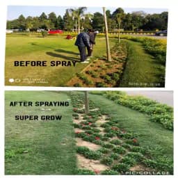 ALBATA Royal SUPER GROW NOCA, SATTVIK and KRUSHI Certified, Agricultural and Domestic use, bio stimulant. 3