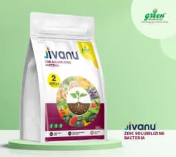 Jivanu Zinc Solubilizing Bacterial BioFertilizer (ZSB) , For All Plants and Home Garden Ecofriendly 6