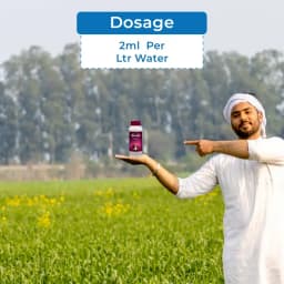Godrej Double Homobrassinolide 0.04% Plant Yield Enhancer, Develops Resistance In Plants From Stress Such As Drought, Frost Injury. 5