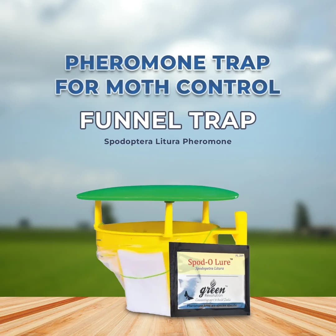 फ़नल ट्रैप, स्पोडो ओ ल्यूर (स्पोडोप्टेरा लिटुरा फेरोमोन) तम्बाकू, कपास, लाल चना, टमाटर और मिर्च के लिए उपयोगी। - Image 2