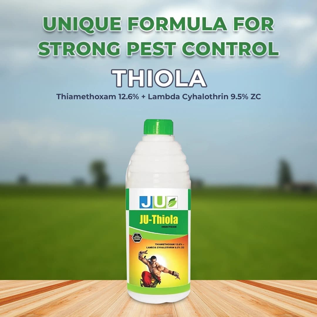 JU Thiola Thiamethoxam 12.6% + Lambda Cyhalothrin 9.5% ZC Insecticide, Effective For Sucking Pests And Caterpillars Pest Control In Crop - Image 2