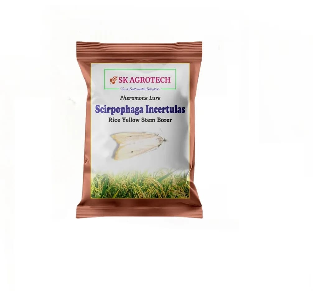 SK Agrotech Scirpophaga Incertulas (Rice Yellow Stem Borer) Pheromone Trap With Lure - Effective Control For Rice Yellow Stem Borer - Image 2