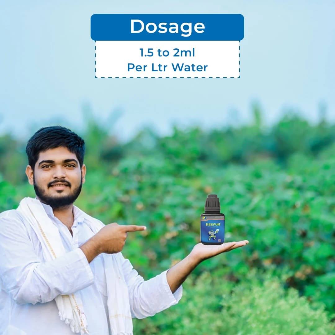 Pi Keefun Tolfenpyrad 15% EC, Inseticides, Control Wide Range of Insect Pests. - Image 5