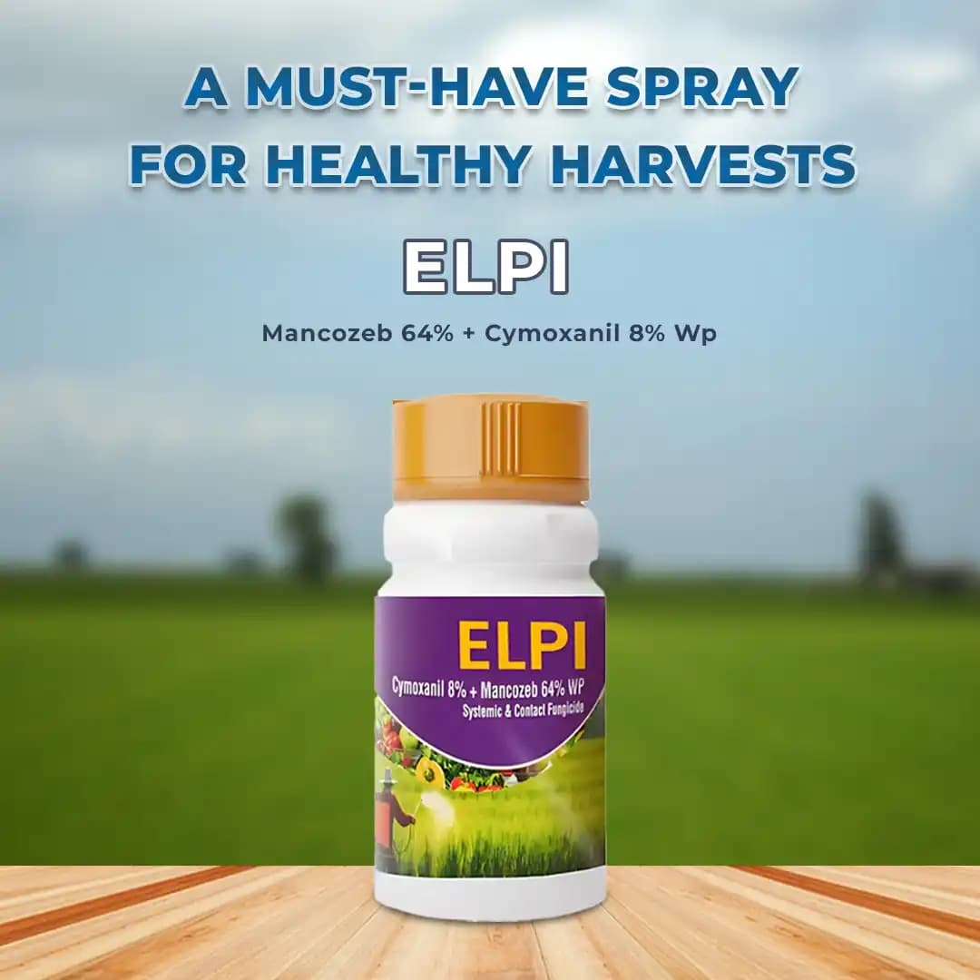 Katyayani Elpi Mancozeb 64% Cymoxanil 8% Wp Fungicide For Plants Control Downy Mildew Late Blight - Image 2