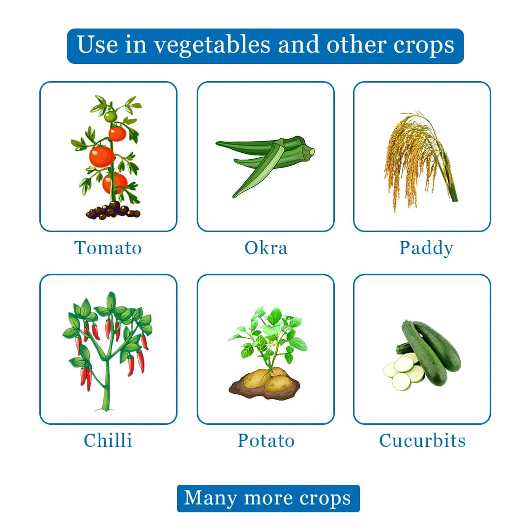 Orcon Bacterial & Viral Disease, Specialty Spray Adjuvant, Clove surfactant 90% min. and Emulsifier dispersing agents & diluents 10% max. - Image 4