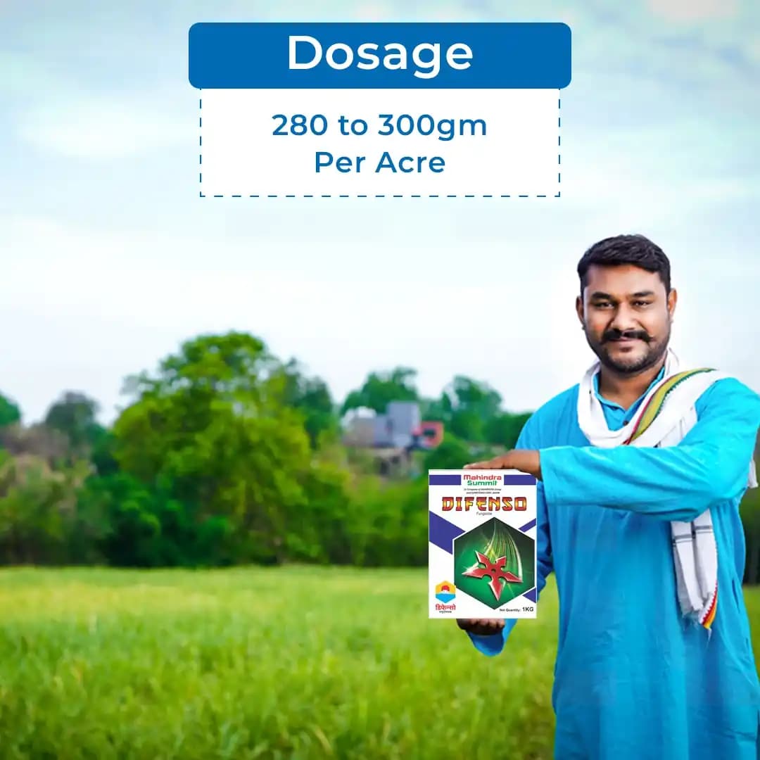 Mahindra Summit Difenso Thiophanate Methyl 70% WP, Broad Spectrum Systemic Fungicide - Image 5