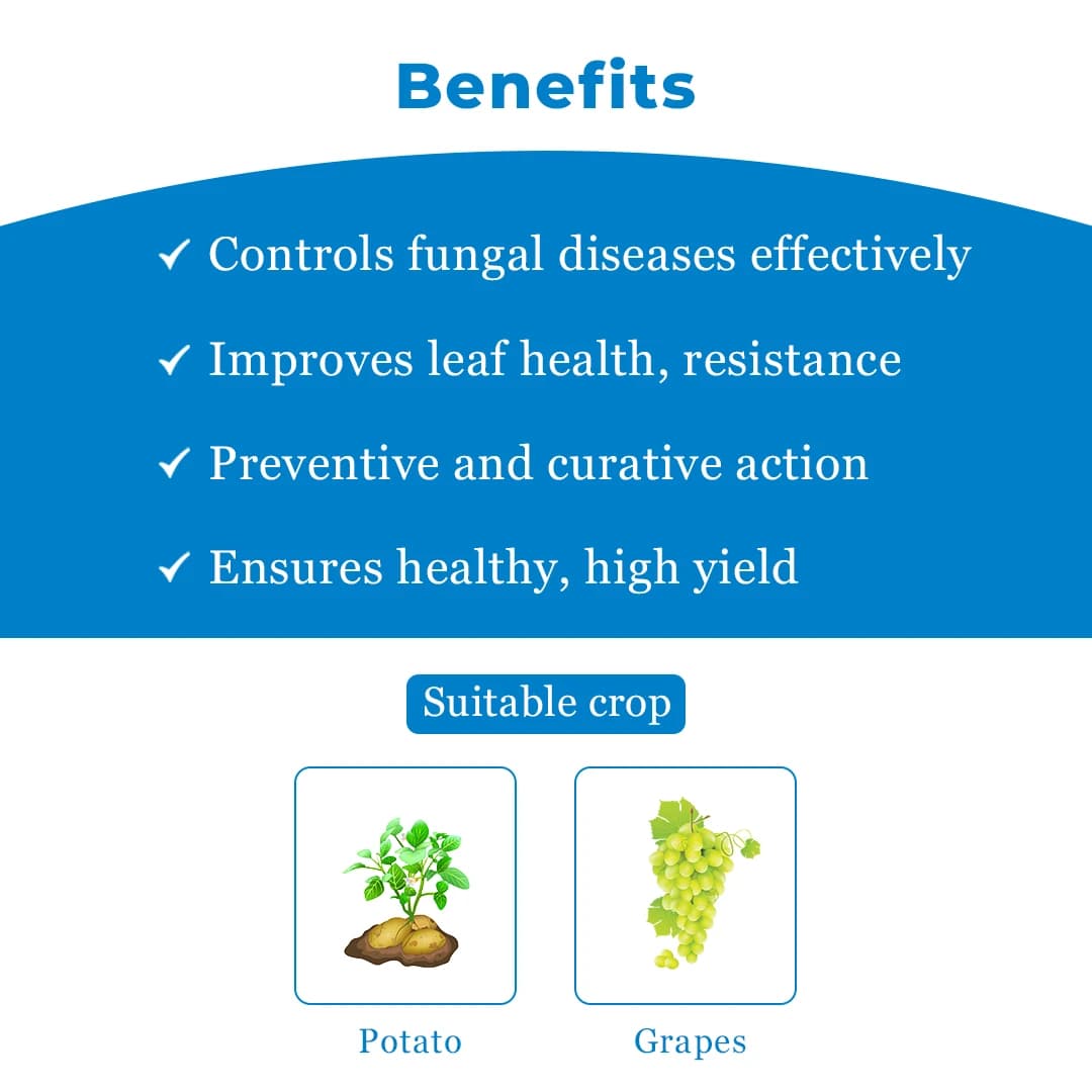 Dhanuka KIRARI Amisulbrom 20% SC Fungicide, Effective For Downy Mildew And Late Blight Control In Crop - Image 4