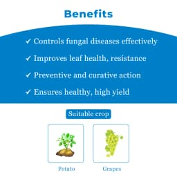 Dhanuka KIRARI Amisulbrom 20% SC Fungicide, Effective For Downy Mildew And Late Blight Control In Crop 4