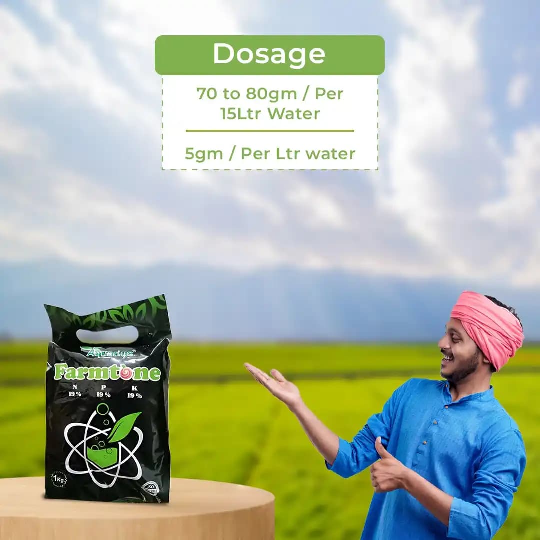 Farmtone NPK 19:19:19 100% Water Soluble Fertilizer, Result Oriented, High Effectiveness - Image 5